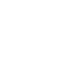 Keine synthetischen Inhaltsstoffe